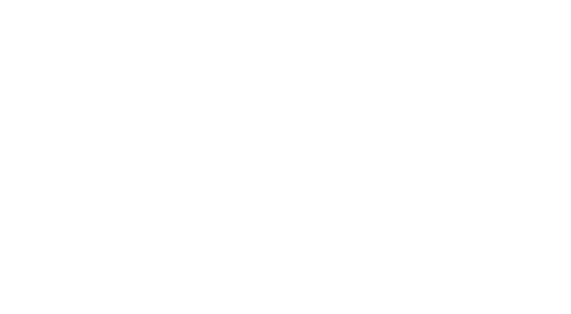 Essence-Prix